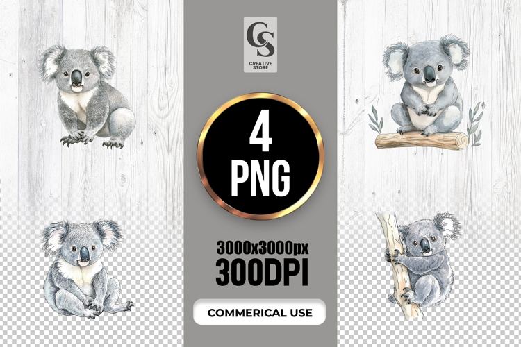 Cute Koala Pictures Image 9