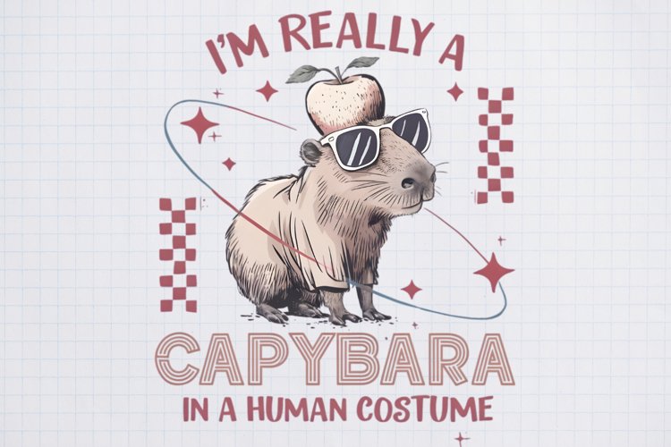 Raccoon Clipart Image 5