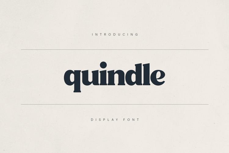Quindle Retro Serif Display Font