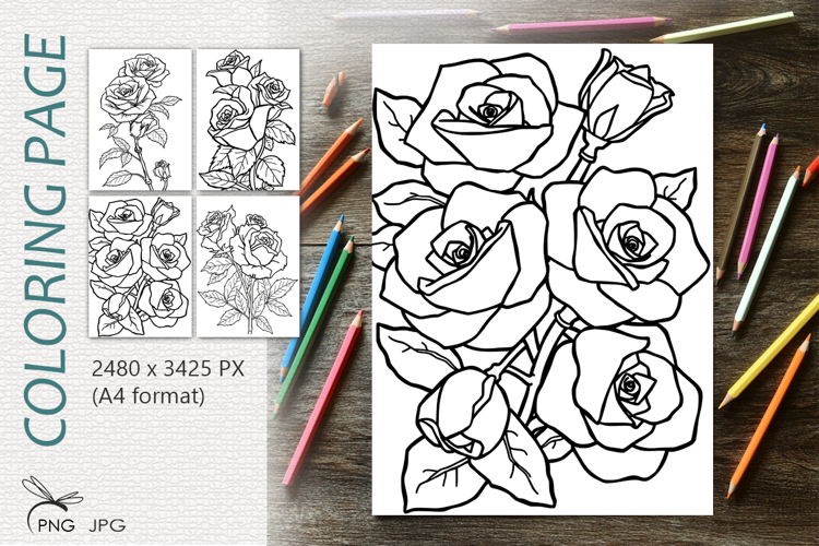 Rose flowers|Coloring page