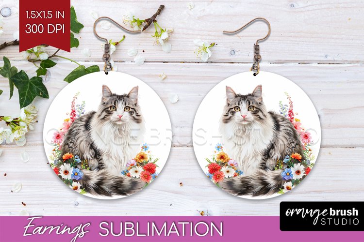 Earrings Png Image 23