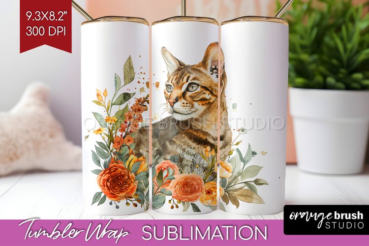 Cat Png Image 5