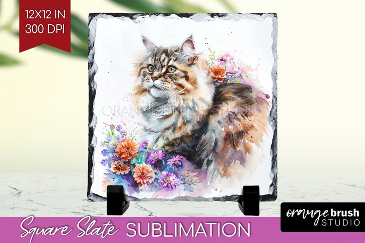 Cat Png Image 21