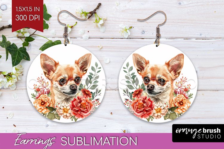 Earrings Png Image 13