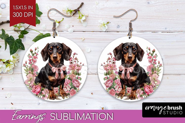 Earrings Png Image 23