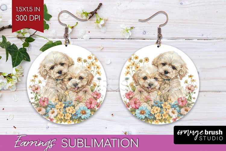 Earrings Png Image 21