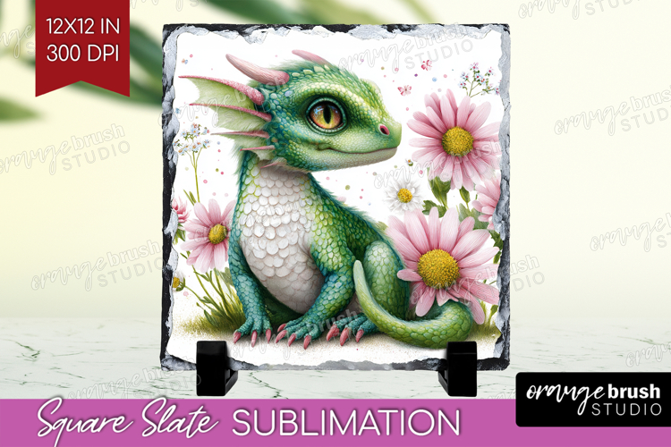 Dragon Png Image 24