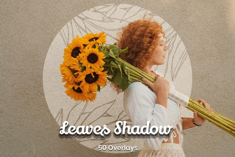 50 Leaves Shadow Overlays