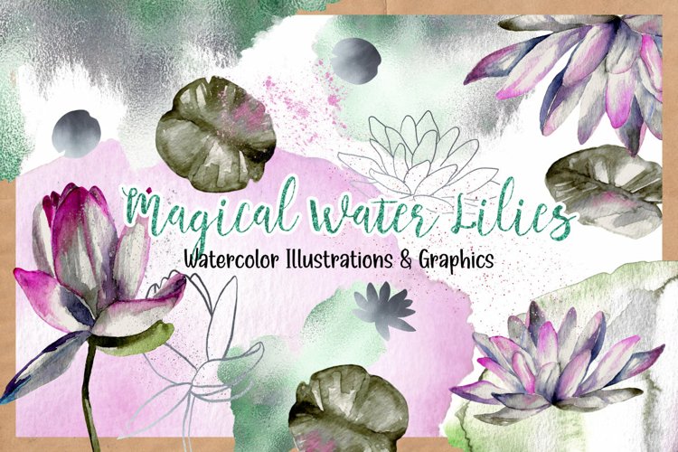 Water Lilies Watercolor Illustrations and Graphics