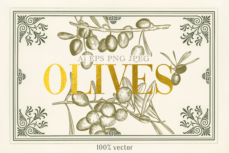 Olive Tree Vector Image 13