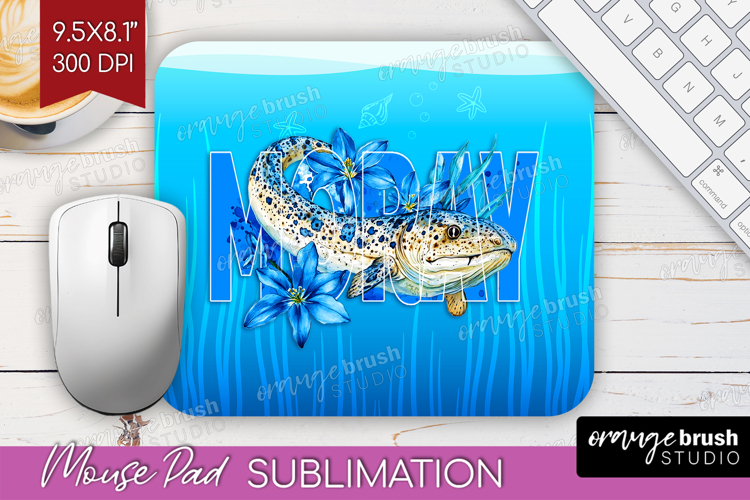 Mouse Png Image 17