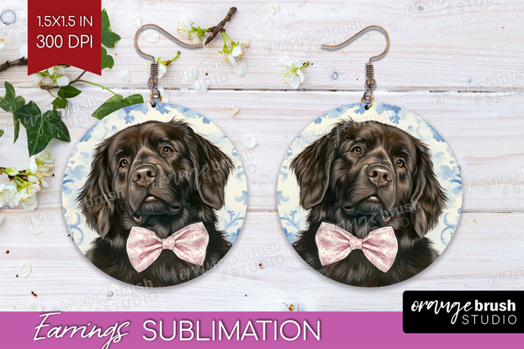 Earrings Png Image 16