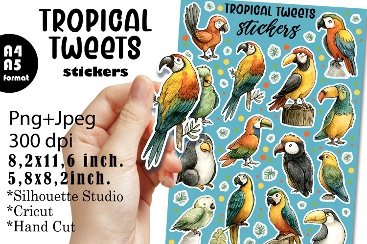 Parakeet Birds Stickers |Stickers PNG|JPEG