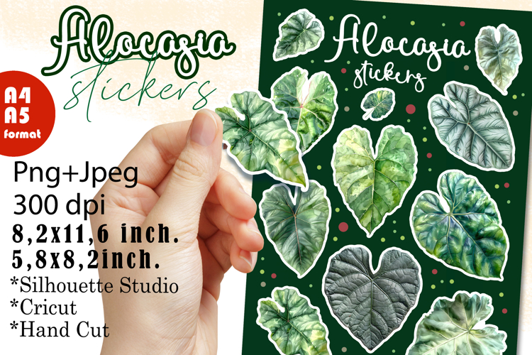 Alocasia Houseplants Stickers |Png/Jpeg Print and cut