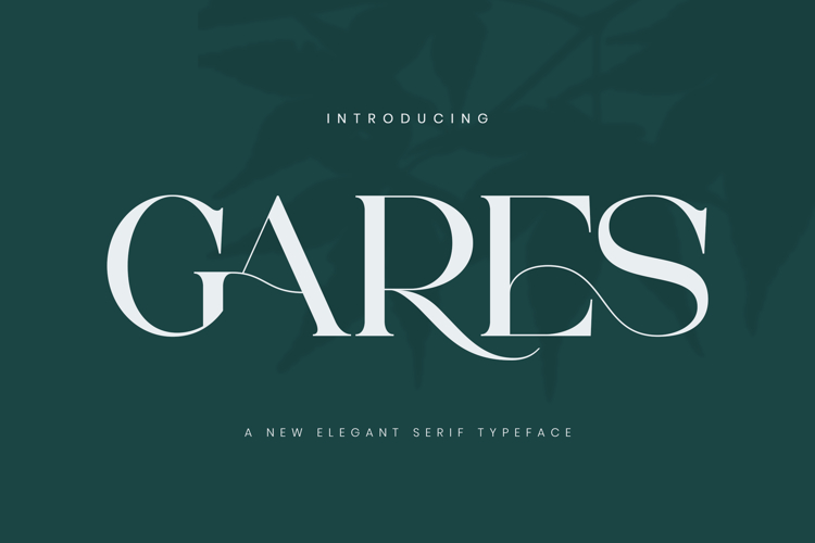 Font Family