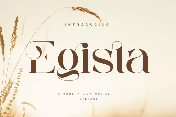Egista