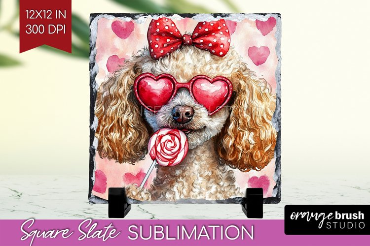 Poodle Png Image 13