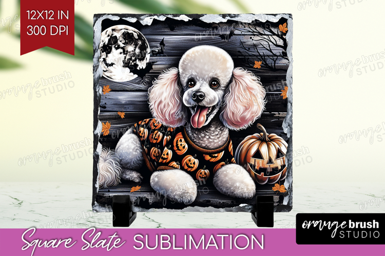 Poodle Clipart Image 22