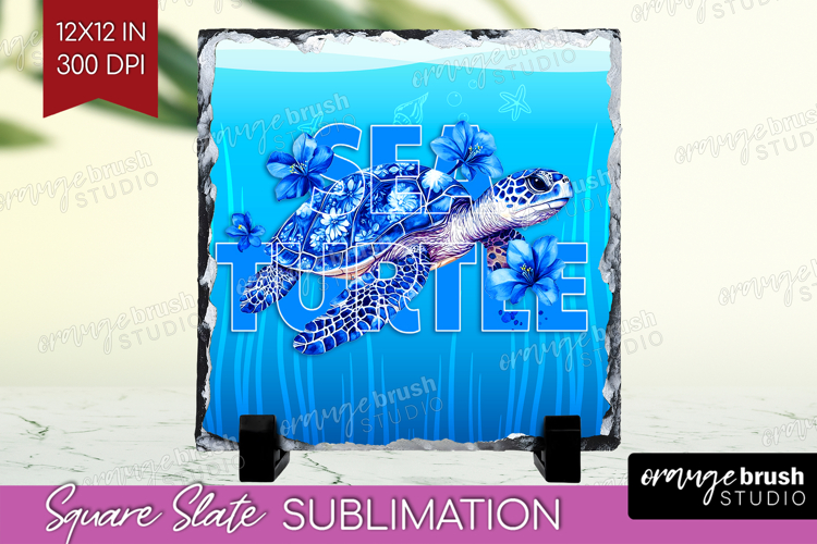 Sea Turtle Clipart Image 21
