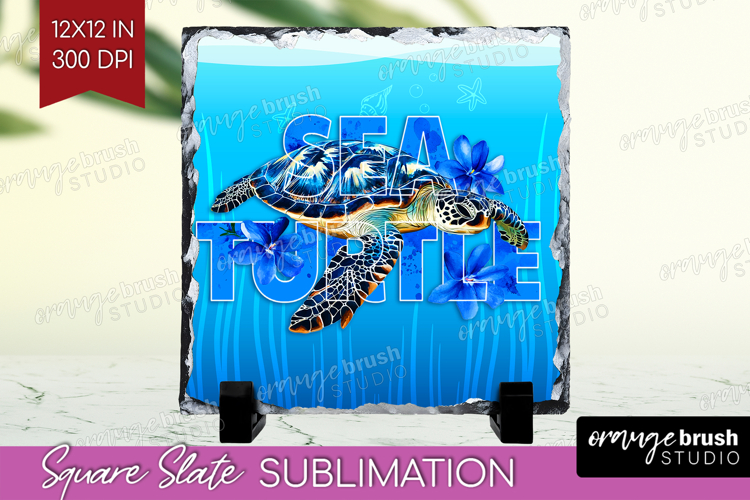 Sea Turtle Clipart Image 20