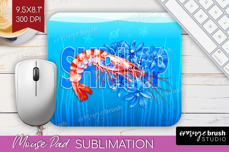 Shrimp Png Image 24