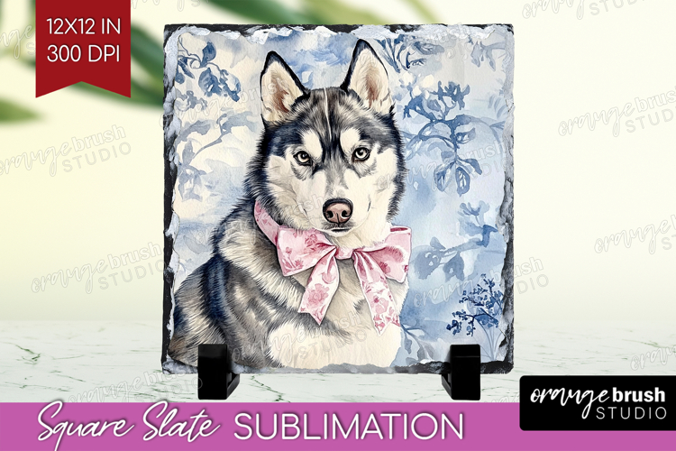 Husky Png Image 24