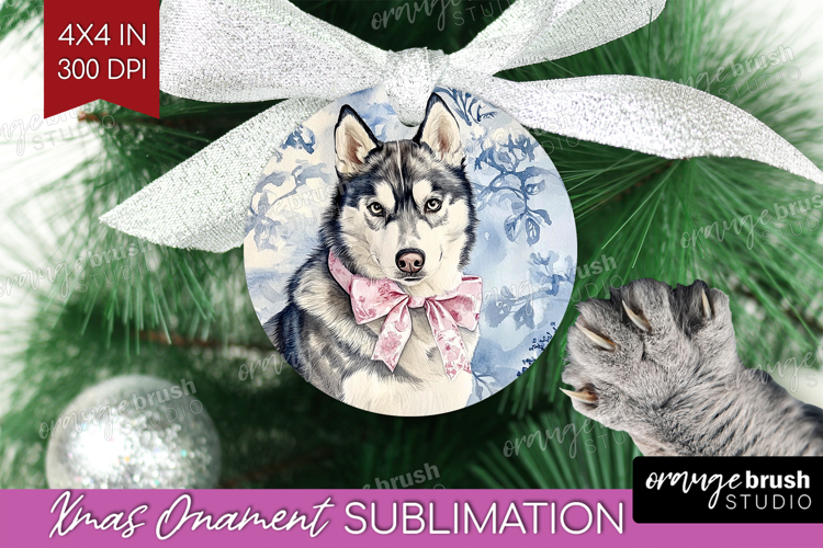Husky Png Image 23