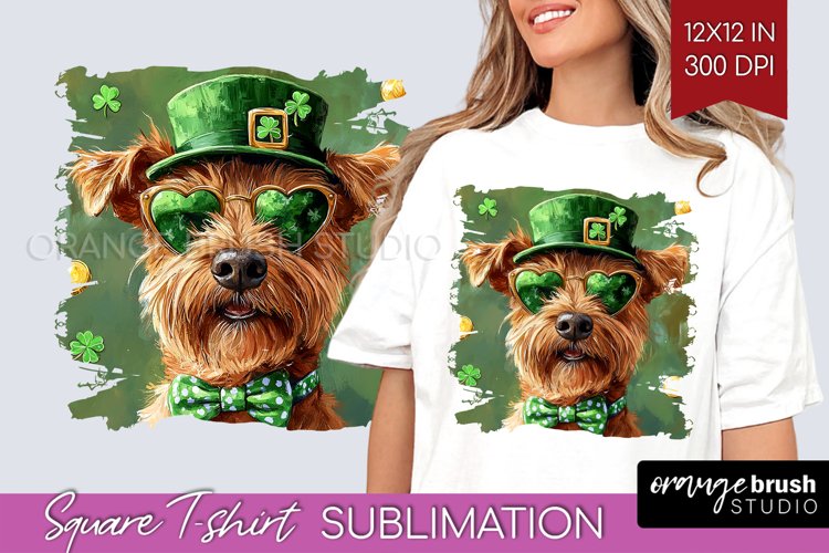 St. Patricks Day Square Tshirt Background - Cute Animals PNG