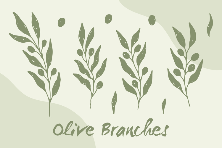 Hand Drawn Olive Branches PNG Clipart
