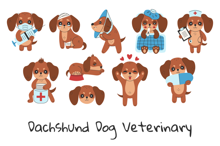 Dachshund Dog Veterinary PNG Clipart