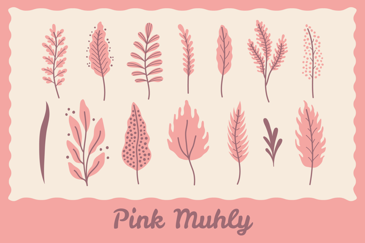 Pink Muhly PNG Clipart