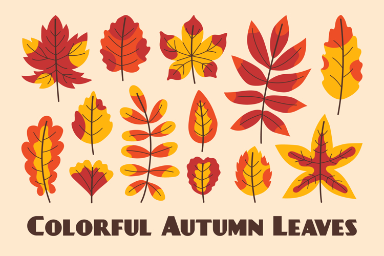 Colorful Clipart Image 23