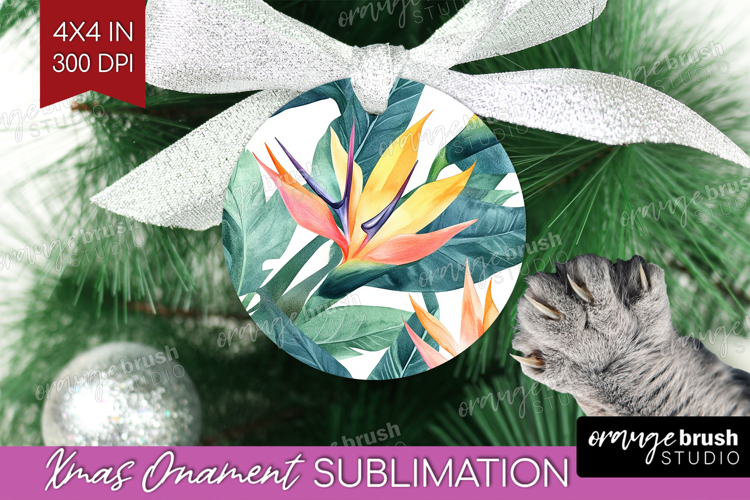 Ornament Png Image 11