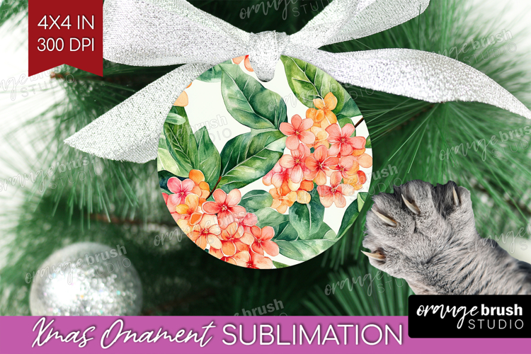 Ornament Png Image 8