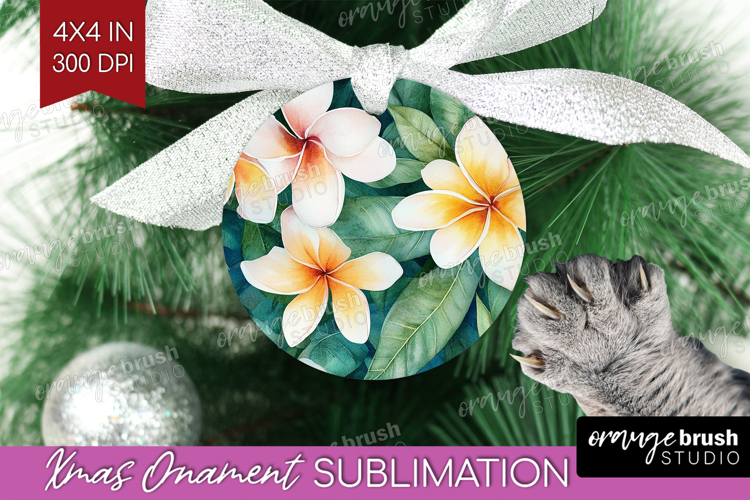 Ornament Png Image 18