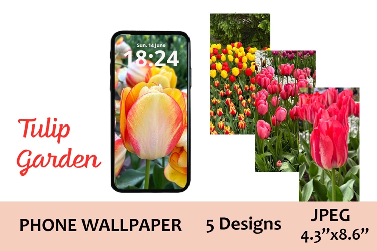 Keukenhof Tulip Aesthetic Phone Wallpapers Pack / JPEG files