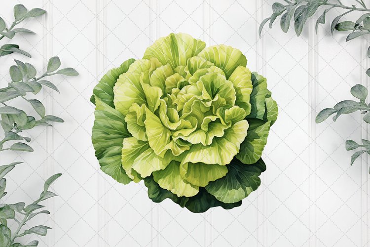 Vegetable Clipart Image 10