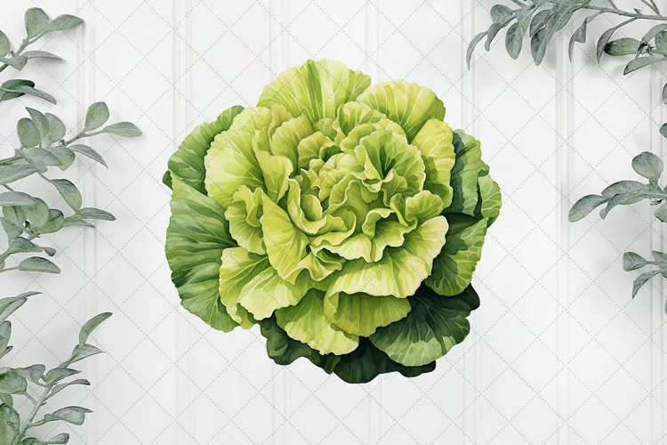 Watercolor Vegetable Collection Clipart