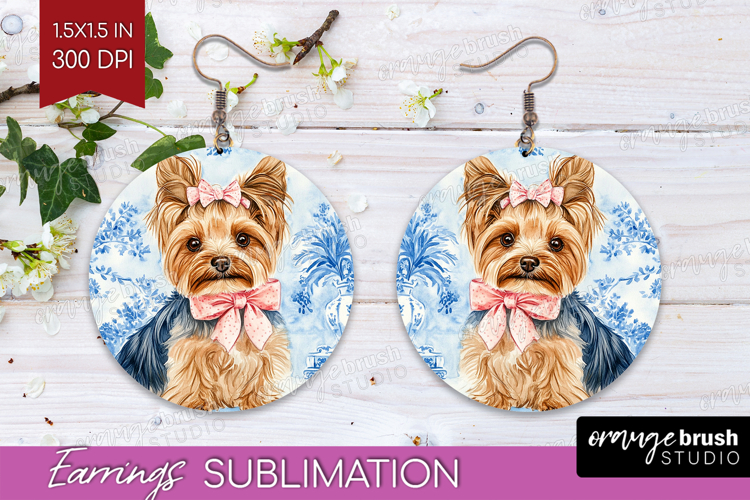 Earrings Png Image 10