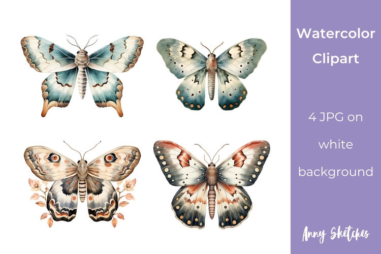 Moth Illustration Image 17