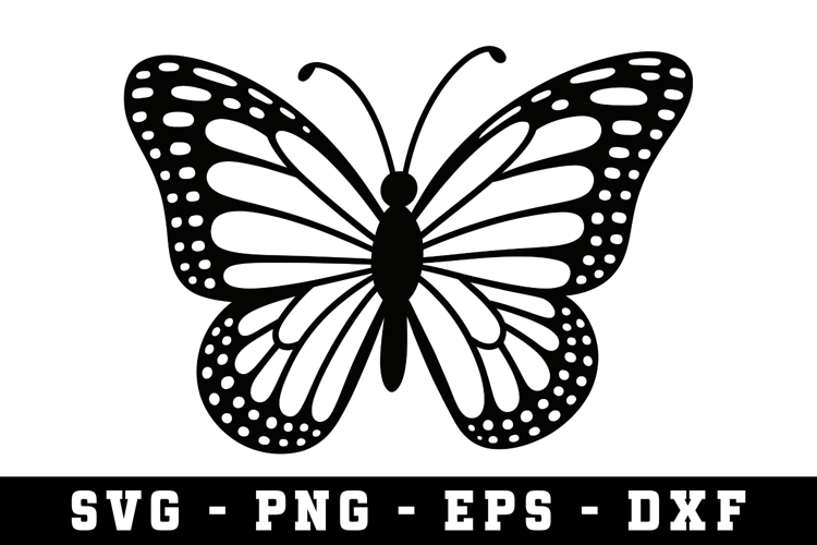 Butterfly SVG | SVG Cut files | Cricut