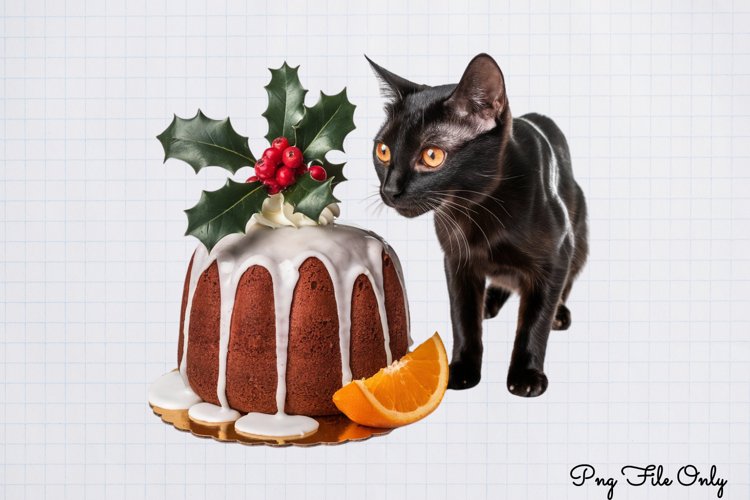 Boho Christmas Clipart Image 6