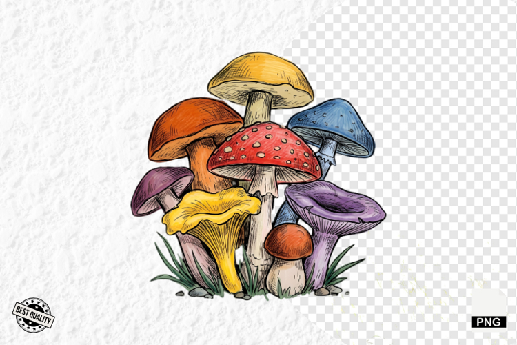Summer Clipart