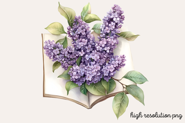 Lilac Illustration