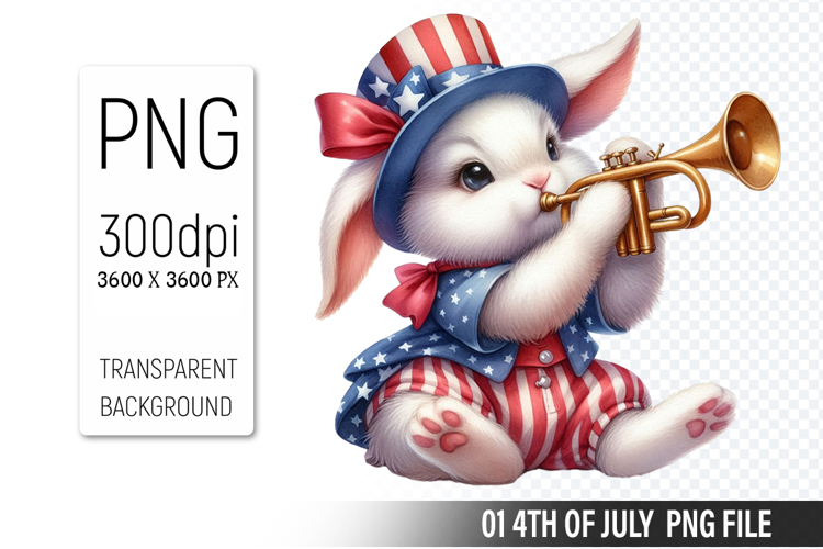 American Flag Png Image 11