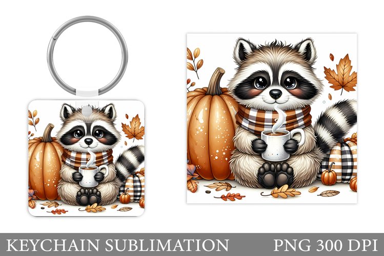 Raccoon Clipart Image 16
