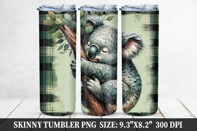Cute Koala Pictures Image 9