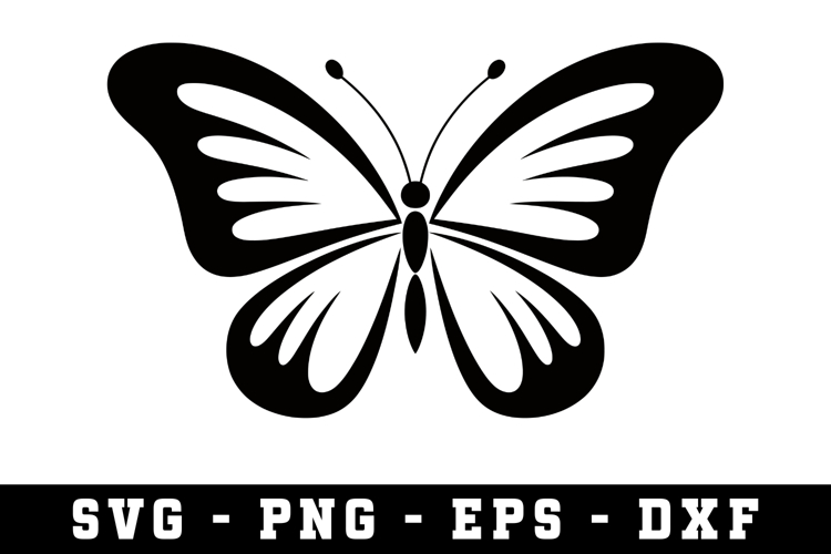 Butterfly SVG | SVG Cut files | Cricut