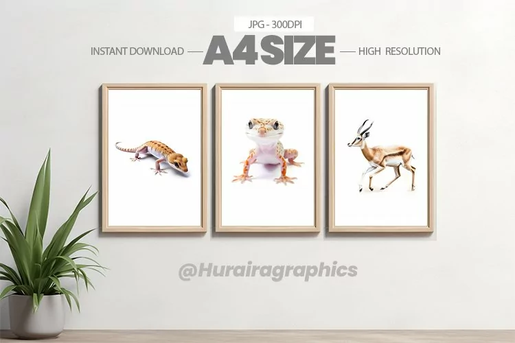 Animal Wall Art - 03 Variations