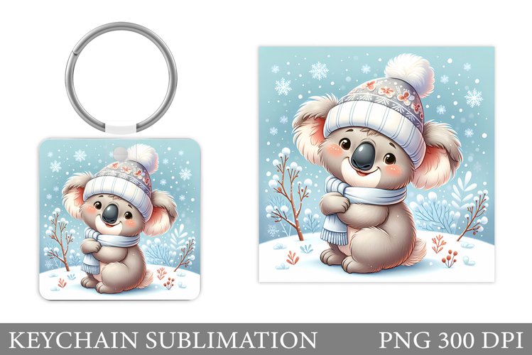 Cute Koala Pictures Image 9